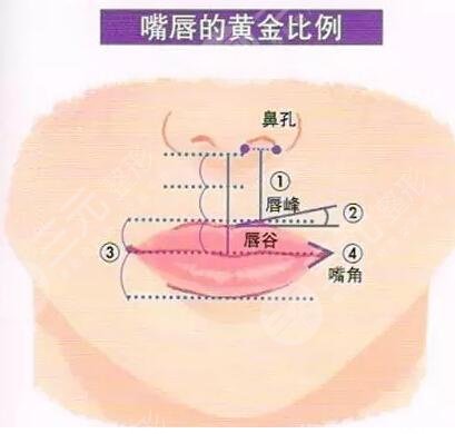 北醫(yī)三院整形美容科怎么樣