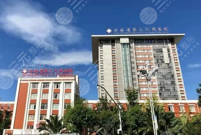  Kunming Public Plastic Surgery Hospital Ranked Top Three and Top Five