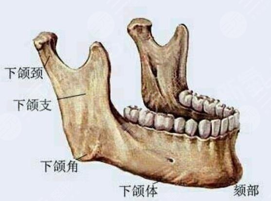 长春医大一院整形科怎么样