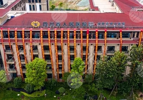  Chengdu Plastic Surgery Hospital Ranked Top 10 and Top 3