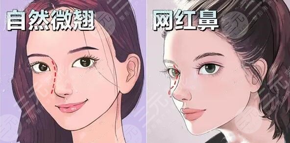 哈醫(yī)大二院整形美容科怎么樣