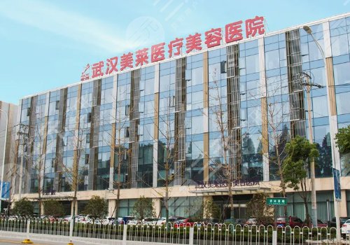  The Top 10 and Top 3 of Wuhan Plastic and Cosmetic Hospital