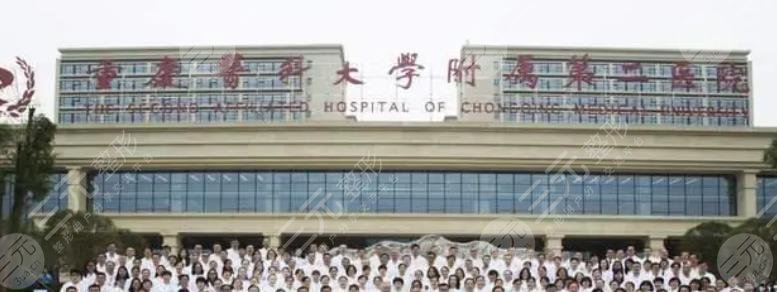 重庆做下颌角医院排名前五