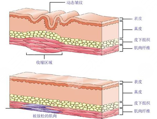 蕭山人民醫(yī)院整形美容科怎么樣