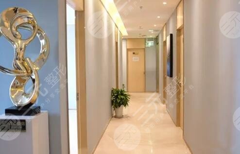  The top three and top five of the top ten plastic surgery hospitals in Shanghai