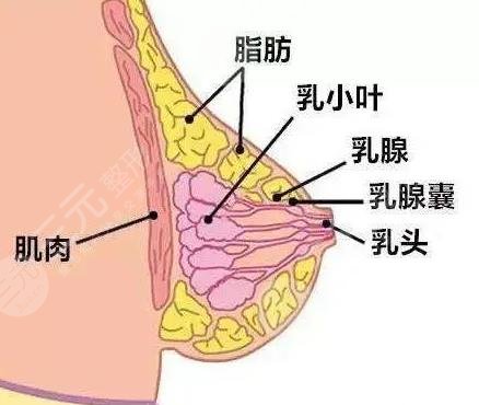 成都军区总医院美容科好不好