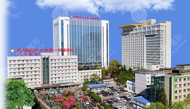  List of Kunming Plastic Surgery Hospital