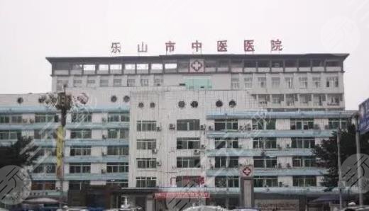  Leshan Private Plastic Surgery Hospital