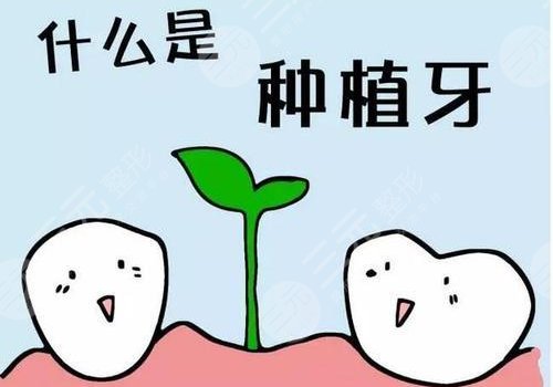  How about implant teeth in Shenzhen Meilai