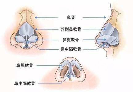 杭州連天美醫(yī)院屬于正規(guī)醫(yī)院?jiǎn)?/></p><p>　　3、面部輪廓：常見的面部輪廓包括埋線提升等，埋線提升通過線體提升，從而改善面部皺紋、松弛等效果。術(shù)前禁止化妝，避免辛辣食物。術(shù)后3天內(nèi)避免用水清洗。</p>            </div>
            <section style="width: 100%;display: flex">
                <div style="margin-bottom: 35px;
            background: #fff;
            position: relative;
            border-radius: 8px;">
                    <div   id="h5wuinb"   class="shenming">
                        <div style="text-align: center">網(wǎng)站提醒和聲明</div>
                        <span>本站為注冊(cè)用戶提供信息存儲(chǔ)空間服務(wù)，非“愛麗幫”編輯上傳提供的文章/文字均是注冊(cè)用戶自主發(fā)布上傳，不代表本站觀點(diǎn)，版權(quán)歸原作者所有，如有侵權(quán)、虛假信息、錯(cuò)誤信息或任何問題，請(qǐng)及時(shí)聯(lián)系我們，我們將在第一時(shí)間刪除或更正。</span>
                    </div>
                    
                </div>
            </section>
            <style>
                .news li{
                    width: 50%;
                    float: left;
                }
            </style>
            <div   id="g44zeje"   class="news-related-box">
                <div   id="qyokxmb"   class="hd">
                    <h2><img src="/Public/home/amazeui/assets/image/zuixinzixun.png"><span> 相關(guān)文章</span></h2>
                </div>
                <ul class="news">
                    <li>
                            <a target="_blank" href="/news/det/n144239.html">
                                <h3>杭州發(fā)際線種植哪個(gè)醫(yī)生好 2022-07-22 21:12:43</h3>
                            </a>
                        </li><li>
                            <a target="_blank" href="/news/det/n145250.html">
                                <h3>杭州呂敏雙眼皮怎么樣 2022-07-23 21:43:54</h3>
                            </a>
                        </li><li>
                            <a target="_blank" href="/news/det/n188620.html">
                                <h3>杭州整形醫(yī)院排行榜有哪些醫(yī)院上榜 2022-12-28 12:02:48</h3>
                            </a>
                        </li><li>
                            <a target="_blank" href="/news/det/n251047.html">
                                <h3>杭州化學(xué)剝脫洗紋身精選醫(yī)院排行榜前5! 2023-11-24 10:23:04</h3>
                            </a>
                        </li><li>
                            <a target="_blank" href="/news/det/n254123.html">
                                <h3>杭州截骨整形醫(yī)院排名前三實(shí)力詳解! 2023-11-25 16:00:05</h3>
                            </a>
                        </li><li>
                            <a target="_blank" href="/news/det/n257351.html">
                                <h3>杭州手臂吸脂手術(shù)嚴(yán)選醫(yī)院排行榜盤點(diǎn)5家， 2023-11-26 11:20:04</h3>
                            </a>
                        </li><li>
                            <a target="_blank" href="/news/det/n257659.html">
                                <h3>杭州縮陰手術(shù)口碑前五醫(yī)院醫(yī)院排名! 2023-11-26 11:20:05</h3>
                            </a>
                        </li><li>
                            <a target="_blank" href="/news/det/n259907.html">
                                <h3>杭州臥蠶整形手術(shù)醫(yī)院排行榜盤點(diǎn)口碑選擇! 2023-11-27 10:59:03</h3>
                            </a>
                        </li><li>
                            <a target="_blank" href="/news/det/n260321.html">
                                <h3>杭州眼貼膜醫(yī)院實(shí)力排名榜更新哪個(gè)好，你來 2023-11-27 10:59:04</h3>
                            </a>
                        </li><li>
                            <a target="_blank" href="/news/det/n313701.html">
                                <h3>杭州藝涵醫(yī)療美容診所可以做拉皮手術(shù)嗎？?jī)r(jià) 2023-12-16 16:57:03</h3>
                            </a>
                        </li>                </ul>
            </div>
        </div>

        <!-- 右邊欄 -->
        <div   id="mdanbyv"   class="pull-right" style="width: 280px;">

            
            
            <div   id="de4ynj7"   class="hot-side hospital">
                    <div   id="4hfs8zd"   class="hd">整形醫(yī)院推薦</div>
                    <div   id="sqnjf7w"   class="ul">
                        <a class="li" target="_blank" href="/hospital/det/h102863.html">
                            <img
                            src="https://zf-tuiguang.oss-cn-hangzhou.aliyuncs.com/alb.com/hos/15afd65d7eb330955ee0a1ea11bbe68c.jpg?x-oss-process=image/resize,m_mfit,w_120,h_90"
                            alt="杭州同榮麗格醫(yī)療美容門診部-醫(yī)院LOGO">
                            <div   id="774pcz9"   class="info">
                            <div   id="cvsouy9"   class="title">杭州同榮麗格醫(yī)療美容門診部</div>
                            <p class="desc">所在地：杭州市</p>
                            </div>
                        </a><a class="li" target="_blank" href="/hospital/det/h102715.html">
                            <img
                            src="https://zf-tuiguang.oss-cn-hangzhou.aliyuncs.com/alb.com/hos/811fdc630322c199b471418a0671ddac.jpg?x-oss-process=image/resize,m_mfit,w_120,h_90"
                            alt="杭州好漾醫(yī)療美容診所-醫(yī)院LOGO">
                            <div   id="94maoky"   class="info">
                            <div   id="jkzlzv2"   class="title">杭州好漾醫(yī)療美容診所</div>
                            <p class="desc">所在地：杭州市</p>
                            </div>
                        </a><a class="li" target="_blank" href="/hospital/det/h102616.html">
                            <img
                            src="https://zf-tuiguang.oss-cn-hangzhou.aliyuncs.com/alb.com/hos/d73779373b6cb9c7736d24702dc35b5c.jpg?x-oss-process=image/resize,m_mfit,w_120,h_90"
                            alt="杭州加州美醫(yī)療美容診所-醫(yī)院LOGO">
                            <div   id="ygtgdi9"   class="info">
                            <div   id="o0pdh9c"   class="title">杭州加州美醫(yī)療美容診所</div>
                            <p class="desc">所在地：杭州市</p>
                            </div>
                        </a><a class="li" target="_blank" href="/hospital/det/h102612.html">
                            <img
                            src="https://zf-tuiguang.oss-cn-hangzhou.aliyuncs.com/alb.com/hos/4fc9b8c31a57b1ecc32d1ccef201990c.jpg?x-oss-process=image/resize,m_mfit,w_120,h_90"
                            alt="杭州星妍又麗醫(yī)療美容門診部-醫(yī)院LOGO">
                            <div   id="ovavtxw"   class="info">
                            <div   id="zafcxui"   class="title">杭州星妍又麗醫(yī)療美容門診部</div>
                            <p class="desc">所在地：杭州市</p>
                            </div>
                        </a><a class="li" target="_blank" href="/hospital/det/h101744.html">
                            <img
                            src="https://zf-tuiguang.oss-cn-hangzhou.aliyuncs.com/alb.com/hos/27d0e866632f3ab584e57795edcdb702.png?x-oss-process=image/resize,m_mfit,w_120,h_90"
                            alt="杭州顏控醫(yī)療美容診所 -醫(yī)院LOGO">
                            <div   id="lpvieb2"   class="info">
                            <div   id="e4fbxdb"   class="title">杭州顏控醫(yī)療美容診所 </div>
                            <p class="desc">所在地：杭州市</p>
                            </div>
                        </a><a class="li" target="_blank" href="/hospital/det/h100777.html">
                            <img
                            src="https://zf-tuiguang.oss-cn-hangzhou.aliyuncs.com/alb.com/hos/6ef58b38e28dc4392098fa9a87422b5c.jpg?x-oss-process=image/resize,m_mfit,w_120,h_90"
                            alt="杭州儷仁醫(yī)療美容診所-醫(yī)院LOGO">
                            <div   id="2ws92u7"   class="info">
                            <div   id="fxkotyv"   class="title">杭州儷仁醫(yī)療美容診所</div>
                            <p class="desc">所在地：杭州市</p>
                            </div>
                        </a><a class="li" target="_blank" href="/hospital/det/h100730.html">
                            <img
                            src="https://zf-tuiguang.oss-cn-hangzhou.aliyuncs.com/alb.com/hos/664b2465ad883d8905616721a9553478.jpg?x-oss-process=image/resize,m_mfit,w_120,h_90"
                            alt="杭州健麗醫(yī)療美容診所 -醫(yī)院LOGO">
                            <div   id="u8qe7ho"   class="info">
                            <div   id="4cawkbq"   class="title">杭州健麗醫(yī)療美容診所 </div>
                            <p class="desc">所在地：杭州市</p>
                            </div>
                        </a><a class="li" target="_blank" href="/hospital/det/h100729.html">
                            <img
                            src="https://zf-tuiguang.oss-cn-hangzhou.aliyuncs.com/alb.com/hos/8f8bdc326e19f74ec3804e902b59af3f.jpg?x-oss-process=image/resize,m_mfit,w_120,h_90"
                            alt="杭州新漾醫(yī)療美容診所-醫(yī)院LOGO">
                            <div   id="ucglzm4"   class="info">
                            <div   id="lvlrvs8"   class="title">杭州新漾醫(yī)療美容診所</div>
                            <p class="desc">所在地：杭州市</p>
                            </div>
                        </a>                    </div>
                </div>
            <div   id="tca824y"   class="hot-side doctor">
                    <div   id="o2xuy5c"   class="hd">相關(guān)整形醫(yī)生</div>
                    <div   id="zi54v8a"   class="ul">
                        <a class="li" target="_blank" href="/doctor/det/d10000737.html">
                            <div   id="ikgbovr"   class="pic">
                            <img
                                src="https://zf-tuiguang.oss-cn-hangzhou.aliyuncs.com/alb.com/doc/20f3e5ea9dfd623a5cec7ad7275f0d66.jpg?x-oss-process=image/resize,m_mfit,w_90,h_90"
                                alt="羅麗娟-醫(yī)生頭像">
                            <div   id="lgnspur"   class="position">主治醫(yī)師</div>
                            </div>
                            <div   id="wotqva2"   class="info">
                                <div   id="lbhnmjh"   class="title">羅麗娟</div>
                                <p class="hospital">杭州好漾醫(yī)療美容診所</p>
                            </div>
                        </a><a class="li" target="_blank" href="/doctor/det/d10000736.html">
                            <div   id="78s4us0"   class="pic">
                            <img
                                src="https://zf-tuiguang.oss-cn-hangzhou.aliyuncs.com/alb.com/doc/59043ba3d8541c8fe6f19b3ee1dbd8ac.jpg?x-oss-process=image/resize,m_mfit,w_90,h_90"
                                alt="黃安琪-醫(yī)生頭像">
                            <div   id="mjejfuh"   class="position">主治醫(yī)師</div>
                            </div>
                            <div   id="7jif0m4"   class="info">
                                <div   id="ij5uhe6"   class="title">黃安琪</div>
                                <p class="hospital">杭州好漾醫(yī)療美容診所</p>
                            </div>
                        </a><a class="li" target="_blank" href="/doctor/det/d10000735.html">
                            <div   id="js3v8ne"   class="pic">
                            <img
                                src="https://zf-tuiguang.oss-cn-hangzhou.aliyuncs.com/alb.com/doc/1dbe719ac2330c09ec49603eef55e07d.jpg?x-oss-process=image/resize,m_mfit,w_90,h_90"
                                alt="龍冰-醫(yī)生頭像">
                            <div   id="7rmi9ev"   class="position">副主任醫(yī)師</div>
                            </div>
                            <div   id="yqnrf4m"   class="info">
                                <div   id="au8ferp"   class="title">龍冰</div>
                                <p class="hospital">杭州好漾醫(yī)療美容診所</p>
                            </div>
                        </a>                    </div>
                </div>
            
        </div>
        <!-- 右邊欄 end-->

    </div>


</div>
<!--公共布局底部 start-->
<div style="clear: both"></div>
<div   id="pqeswxc"   class="ui-footer">
    <div   id="cuzxlzw"   class="ui-footer-hd clearfix">
        <div   id="a5987ch"   class="grid zbj-grid ui-footer-nav">
                        <div   id="695sqvl"   class="clear"></div>
            <dl class="item-new">
                <dt><a data-linkid="footer-nav-new" class="footer-nav-new" href="/" target="_blank"
                       title="愛麗幫"> <img src="/Public/home/image/ailibang.png"><span>愛麗幫</span></a>
                </dt>
                <dd><a data-linkid="footer-reg" rel="nofollow" target="_blank" href="/about/index.html">關(guān)于我們</a></dd>
                <dd><a data-linkid="footer-guide" rel="nofollow" target="_blank" href="/about/relation.html">聯(lián)系我們</a>
                </dd>
                <dd><a data-linkid="footer-fws" rel="nofollow"href="javascript:;"
                       class="tc-zx ">客服在線</a></dd>
                <!--<dd><a data-linkid="footer-rule" rel="nofollow" target="_blank" href="javascript:void(0)">400-xxx-xxxx</a></dd>-->
            </dl>
            <dl class="item-buyer">
                <dt><a data-linkid="footer-nav-buyer" class="footer-nav-new" href="/hospital/yuan.html" target="_blank"
                       title="專業(yè)醫(yī)院"><img src="/Public/home/image/quanwiyiyuan.png"> <span>專業(yè)醫(yī)院</span></a></dt>
                <dd><a target="_blank" href="/hospital/det/h101754.html">佛岡伊美醫(yī)療美容門診部</a></dd><dd><a target="_blank" href="/hospital/det/h101755.html">蘇州芳華美容醫(yī)院</a></dd><dd><a target="_blank" href="/hospital/det/h101752.html">普寧市柏得醫(yī)療美容門診部</a></dd><dd><a target="_blank" href="/hospital/det/h100174.html">蘭州皙妍麗醫(yī)療美容醫(yī)院</a></dd>            </dl>
            <dl class="item-saler">
                <dt><a data-linkid="footer-nav-seller" class="footer-nav-new" href="/hospital/yuan.html" target="_blank"
                       title="整形醫(yī)院"><img src="/Public/home/image/quanwiyiyuan.png"><span> 整形醫(yī)院</span></a></dt>
                <dd><a target="_blank" href="/item/mu.html">整形項(xiàng)目</a></dd> 
                <dd><a target="_blank" href="/news/xun.html">整形資訊</a></dd>
            </dl>
            <dl class="item-safe">
                <dt><a data-linkid="footer-nav-seller" class="footer-nav-new" href="/item/mu.html" target="_blank"
                       title="熱門項(xiàng)目"><img src="/Public/home/image/remenxiabngmu.png"><span> 熱門項(xiàng)目</span></a></dt>
                <dd><a target="_blank" href="/item/det/s1000049.html">埋線雙眼皮</a></dd><dd><a target="_blank" href="/item/det/s1000048.html">韓式雙眼皮</a></dd><dd><a target="_blank" href="/item/det/s1000173.html">果酸嫩膚</a></dd><dd><a target="_blank" href="/item/det/s1000075.html">副乳吸脂</a></dd>            </dl> 
        </div>
    </div>

    <!--  <a href="javascript:;" class=tc-zx  target="_blank">
        <div   id="sm8b4wu"   class="caia-jia" ></div>
      </a>-->

    <div   id="92fn8kq"   class="grid zbj-grid ui-footer-bd">
        <div   id="u0osf2x"   class="ui-footer-sitelink">
            <a data-linkid="footer-about" rel="nofollow" href="/about/index.html" target="_blank">關(guān)于我們</a><span
                class="split">|</span>
            <a data-linkid="footer-contact" rel="nofollow" href="/about/relation.html" target="_blank">聯(lián)系我們</a><span
                class="split">|</span>
            <a data-linkid="footer-news" href="/item/mu.html" target="_blank">項(xiàng)目預(yù)約</a><span id="k3035b6"    class="split">|</span>
<!--            <a data-linkid="footer-map" href="/activity/dong.html" target="_blank">活動(dòng)報(bào)名</a><span id="zs21bzn"    class="split">|</span>--> 
            <a data-linkid="footer-join" href="/item/mu.html" target="_blank">項(xiàng)目大全</a><span id="dkg9ypm"    class="split">|</span>
            <a data-linkid="footer-pay" href="/hospital/yuan.html" target="_blank">醫(yī)院查詢</a><span id="qjojo9r"    class="split">|</span>
            <a target="_blank" href="/news/xun.html">熱點(diǎn)資訊</a><span id="zhvjnbi"    class="split">|</span>
            <a target="_blank" href="/news/yunchan.html">孕產(chǎn)資訊</a><span id="oxtp5ti"    class="split">|</span>
            <a data-linkid="footer-contact" rel="nofollow" href="/about/privacy.html" target="_blank">隱私協(xié)議</a><span id="icyospc"    class="split">|</span>
            <a data-linkid="footer-contact" rel="nofollow" href="/about/pact.html" target="_blank">用戶協(xié)議</a>
        </div>
        <p class="gray ui-footer-copyright">
            Copyright 2010-2023 ailibang.com 版權(quán)所有
            <a rel="nofollow"  target="_blank">蜀ICP備14013245號(hào)-1
                成都如麗網(wǎng)絡(luò)科技有限公司</a>
        </p>

        <p class="gray ui-footer-copyright">
            聲明：任何信息都不能代替執(zhí)業(yè)醫(yī)師面對(duì)面的診斷和治療，本站所展示的各種信息和數(shù)據(jù)等僅供參考，不代表任何診療建議或意見，本站不承擔(dān)由此引起的法律責(zé)任。本站所有信息均來源于網(wǎng)絡(luò)轉(zhuǎn)載或其他注冊(cè)用戶上傳分享，其原創(chuàng)性以及文中陳述文字和內(nèi)容未經(jīng)本站證實(shí)，本站對(duì)該文以及其中全部或部分內(nèi)容、文字的真實(shí)性、完整性、及時(shí)性，不作出任何保證或承諾；如您發(fā)現(xiàn)信息涉及版權(quán)等問題，請(qǐng)及時(shí)與我方聯(lián)系，本站QQ:1169288192，我方會(huì)盡快處理。 凡以任何方式瀏覽、登錄本站，或直接、間接使用本站資料者，視為自愿接受本站聲明的約束。
            <br>
            溫馨提示： 愛麗幫網(wǎng)溫馨提示：整形有風(fēng)險(xiǎn)，請(qǐng)謹(jǐn)慎選擇。未滿18周歲的青少年不宜做整形手術(shù)！
        </p>

        <div   id="qurncrx"   class="ui-footer-gov">
            <a data-linkid="footer-ebs" href="#" target="_blank" rel="nofollow">
                <img src="https://a.zbjimg.com/static/common/widget/footer/img/ebs_f4a49dc.png"
                     alt="市場(chǎng)監(jiān)督管理局企業(yè)主體身份公示"><span id="mv4s3gt"    class="item-txt">工商網(wǎng)監(jiān)電子標(biāo)識(shí)</span>
            </a>
            <a data-linkid="footer-xfz" rel="nofollow" href="#" target="_blank">
                <img src="https://a.zbjimg.com/static/common/widget/footer/img/xfz_ad6bc96.jpg" alt="消費(fèi)維權(quán)服務(wù)"><span
                    class="item-txt">消費(fèi)者維權(quán)服務(wù)站</span>
            </a>

            <a class="reportform" rel="nofollow" href="#" target="_blank">
                <img src="/Public/home/amazeui/assets/image/zhuan.jpg">
            </a>
        </div>
    </div>
</div>
<!--懸浮left-->
<!--
<div   id="r0dafur"   class="suspend">
    <a href="javascript:;" class="tc-zx " target="_blank"><img src="/Public/home/amazeui/assets/image/zixun0.png" alt=""></a>
    <lable class="T-colse-x" ></lable>
</div>
-->


<!--懸浮right-->
<!--
<div   id="jw5aqlh"   class="side_r_pop">
    <div><a href="javascript:;" class="tc-zx "> <img src="/Public/home/amazeui/assets/image/title-r.jpg"></a></div>
    <div   id="bshchf0"   class="mar-t-10 hover phone-pc">
        <div   id="ed23ntq"   class="phone-img"><img src="/Public/home/amazeui/assets/image/slider_01.png" alt="">
            <div   id="gy0b4z9"   class="phone-num">
                <img src="/Public/home/amazeui/assets/image/dianhua.png?version=201812131600" alt="">
            </div>
        </div>
    </div>
    <div   id="44hnjws"   class="mar-t-10 hover">
        <div   id="rzm9dj5"   class="mar-t-10 hover phone-pc">
            <div   id="xytxdzw"   class="phone-img">
                <a  target="_blank">
                    <img src="/Public/home/amazeui/assets/image/slider_02.png" alt=""> </a>
            </div>
        </div>
    </div>
    <div   id="xt78sot"   class="mar-t-10 hover phone-pc">
        <div   id="v2ytt1t"   class="phone-img">
            <img src="/Public/home/amazeui/assets/image/slider_03.png" alt="">
            <div   id="mm9gnkg"   class="phone-num">
                <img src="/Public/home/amazeui/assets/image/weixin.png" alt="">
            </div>
        </div>
    </div>
    <div   id="h7plifu"   class="mar-t-10 hover phone-pc">
        <div   id="whm9tin"   class="phone-img">
            <img src="/Public/home/amazeui/assets/image/slider_04.png" alt="">
            <div   id="uc94dzf"   class="phone-num">
                <img src="/Public/home/amazeui/assets/image/weibo.png" alt="">
            </div>
        </div>
    </div>
</div>
-->
</body>





<!--公共布局底部 end-->

<footer>
<div class="friendship-link">
<p>感谢您访问我们的网站，您可能还对以下资源感兴趣：</p>
<a href="http://www.relentlessbeating.com/" title="a在线视频免费人妻中文少妇|亚洲精品国产1区2区3区|亚洲AV无码不卡一区二区三区|春色五月天少妇综合区">a在线视频免费人妻中文少妇|亚洲精品国产1区2区3区|亚洲AV无码不卡一区二区三区|春色五月天少妇综合区</a>

<div class="friend-links">


</div>
</div>

</footer>


<script>
(function(){
    var bp = document.createElement(