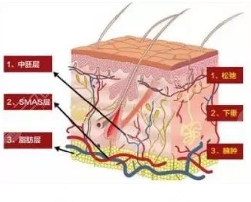 杭州薇琳医疗美容医院是正规医院吗