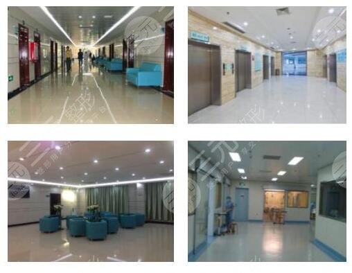  Dongguan People's Hospital Orthodontics Department