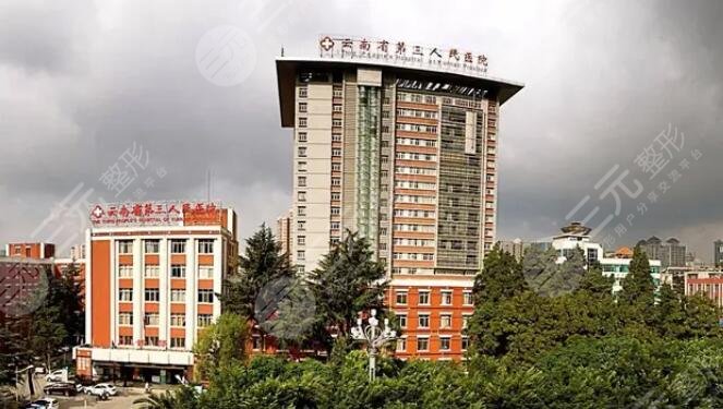  How about the plastic surgery department of the Third People's Hospital of Yunnan Province