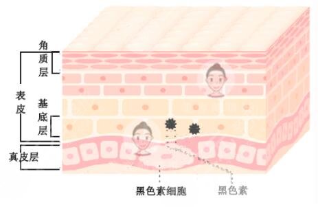 中國醫(yī)學科學院整形外科醫(yī)院激光美容中心怎么樣